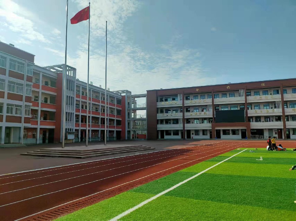 陈瑶湖中心小学新建塑胶运动场及校园维修改造项目