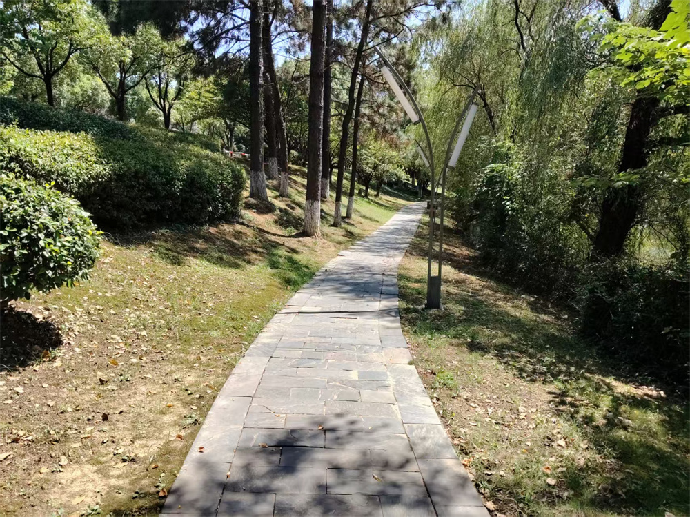 北京路下穿区域排水体系改造工程