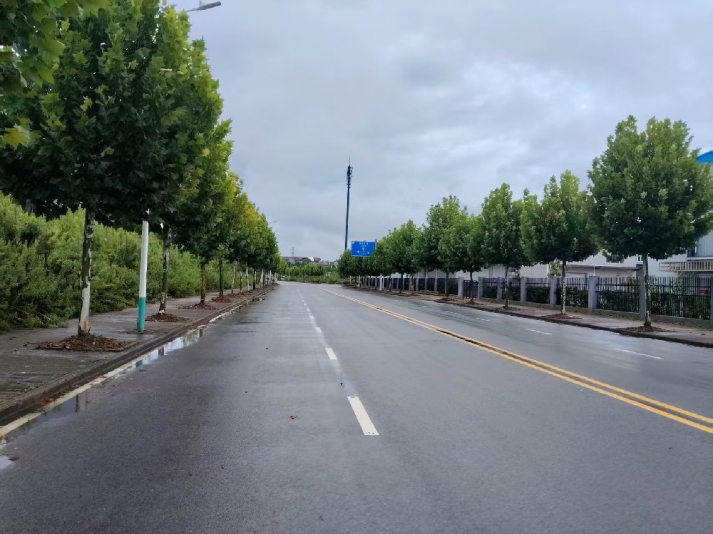 天柱山大道（翠湖五路－翠湖四路）新建工程